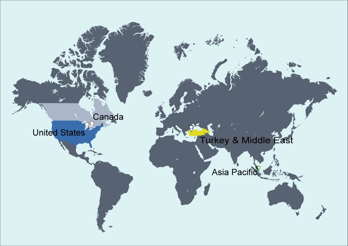 World Map